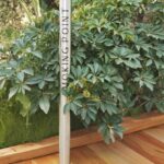 00002-4143291940 (Copier)